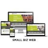 metrolocal media small business website design